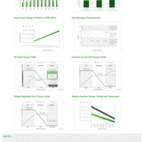 Discover Energy EV Traction 24 : 12V : 85AH : AM
