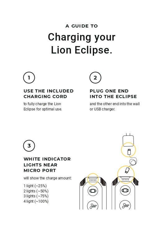 Lion Eclipse | 5V | 2.4A | 99.9Wh - 27,000mAh USB Charger | Lithium NCA Battery | Lion Energy | 1-5 Days Ship Time