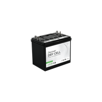 Discover Energy EV Traction 24 : 12V : 85AH : AM